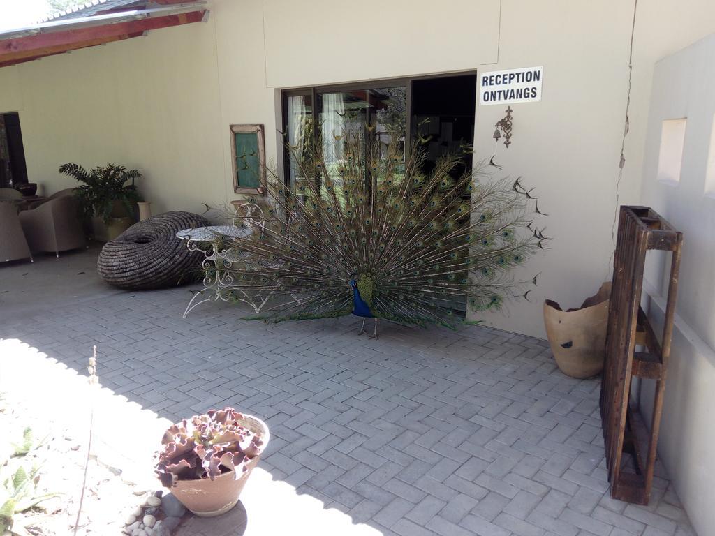 Отель Xain Quaz Camp Gobabis Экстерьер фото
